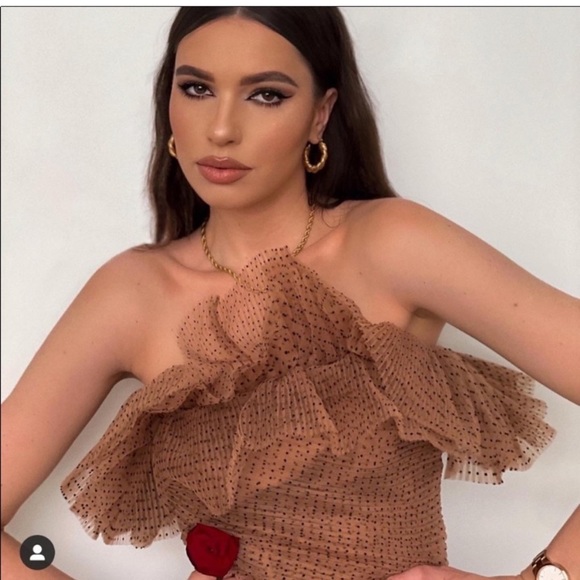 NEW ZARA TULLE POLKA DOT CROP TOP - Picture 5 of 9